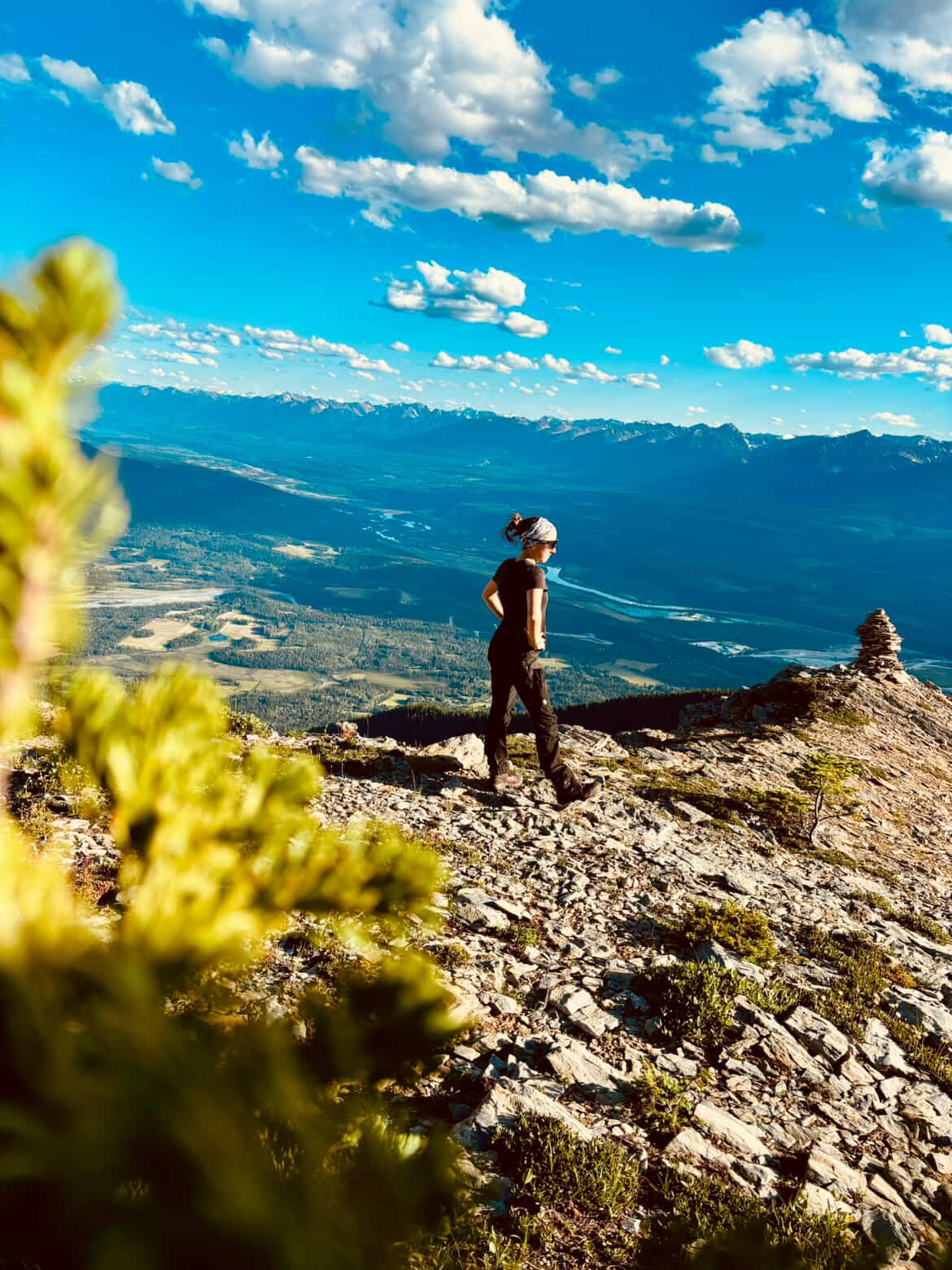 Camp host Thea looking over the mountains from Willowbank summit