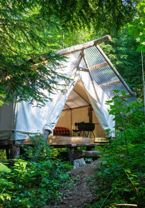 Camp Moose Trail